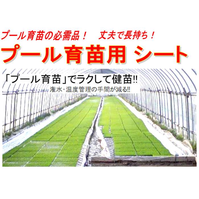 丈夫で長持ち 育苗用 プールシート 厚さ 0.26mm×幅 270cm×長さ 20m プール育苗 シート オK 代引不可 |  | 01