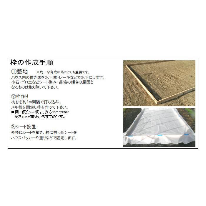 丈夫で長持ち 育苗用 プールシート 厚さ 0.26mm×幅 300cm×長さ 20m プール育苗 シート オK 代引不可 |  | 02