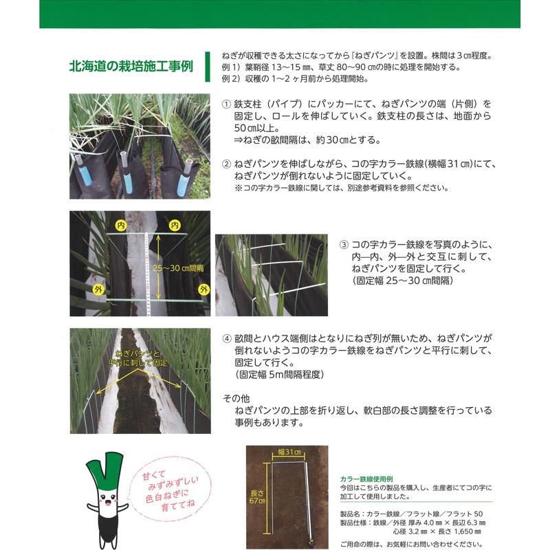 軟白 ネギ 栽培用遮光シート ネギパンツ 100cm×100m 黒 長ネギ