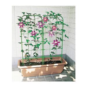 フラワースクリーン 90型 39cm×90cm 各種プランター用 第一ビニール 金TD |  | 01