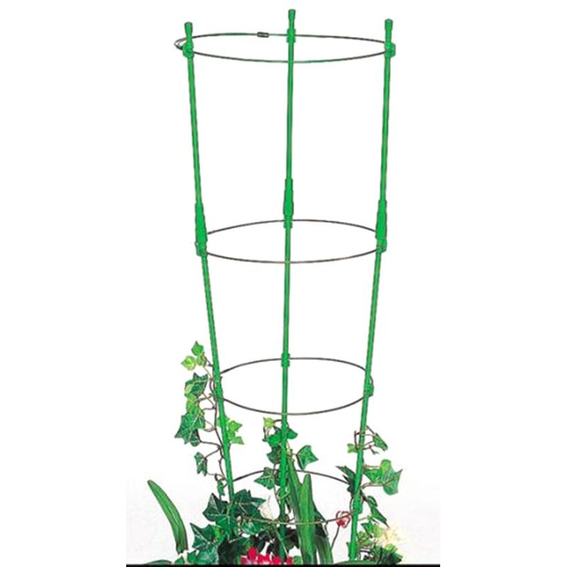 ぐんぐんリング 小 45cm〜60cm (2セット入) 植木鉢用 第一ビニール 金TD |  | 01