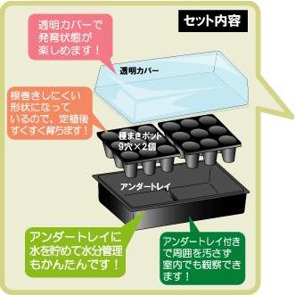 種まきハウス 445×230mm 第一ビニール 金TD |  | 01