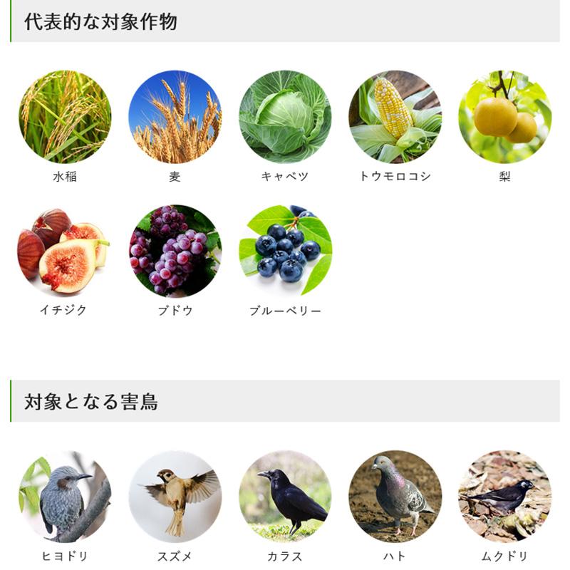 強力防鳥網 3.6×18m KC20S 約20坪用 30mm目 800D 青 東京戸張 DZ |  | 04