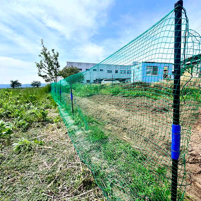 防獣ネット 16mm目合 1m×50m シN DZ | SHINSEI | 01
