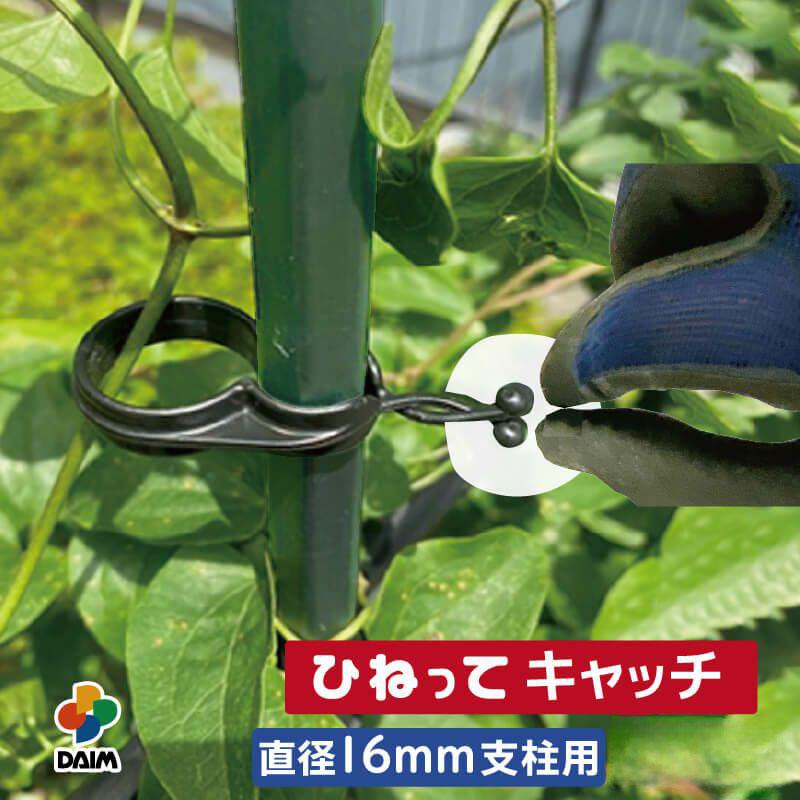 daim ひねってキャッチ16mm支柱用 10個入 結束 農業 園芸 誘引資材 クリップ 第一ビニール 金TD | 