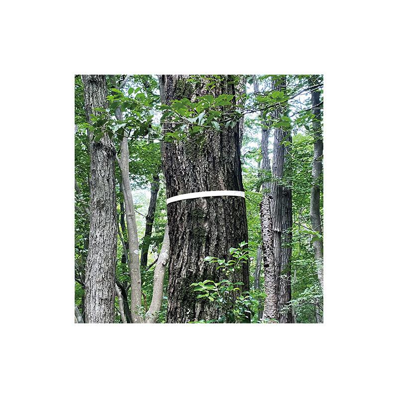 マーキングテープ ホワイト 30mm×50ｍ 目印 テープ 74126 シンワ測定 H |  | 01