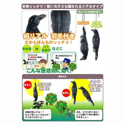 ミツギロン イヤガラス EG-38 鳥害・防鳥対策に 金TD |  | 02