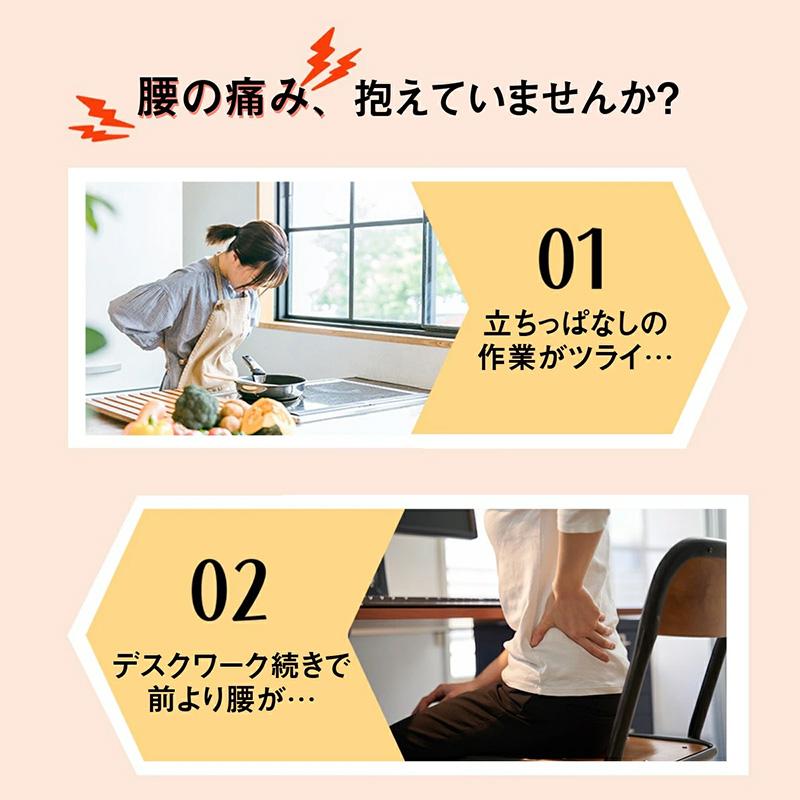 腰痛防衛隊 No.245 インソール 中敷き 衝撃吸収 高反発 メンズ 男性 抗菌 防臭 ニオイ対策 3D形状 立体 カップインソール 歩行アシスト 補助 土ふまず 三カD |  | 01