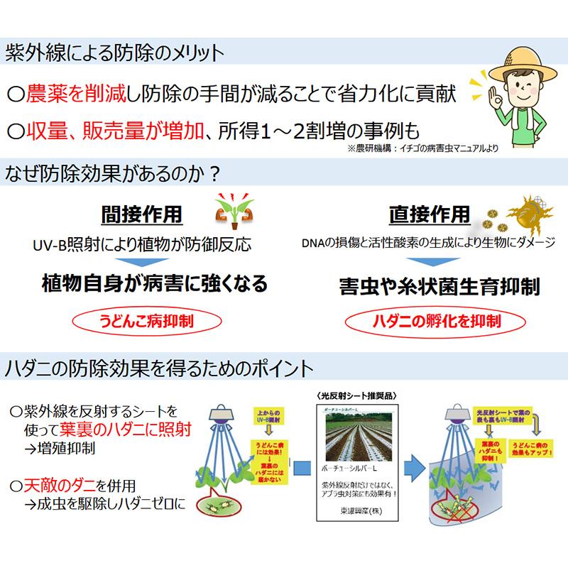 6台 近接照射器具 KS-013 鋼鈑商事 UV-B 0.7〜1.2ｍ Bタイプ専用 防除 増殖抑制 成虫駆除 うどんこ病 ハダニ 害虫 農業用紫外線 アダプター ハウス タS 代引不可 |  | 02