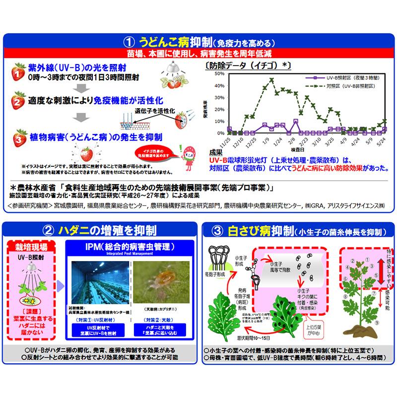 6台 近接照射器具 KS-013 鋼鈑商事 UV-B 0.7〜1.2ｍ Bタイプ専用 防除 増殖抑制 成虫駆除 うどんこ病 ハダニ 害虫 農業用紫外線 アダプター ハウス タS 代引不可 |  | 04