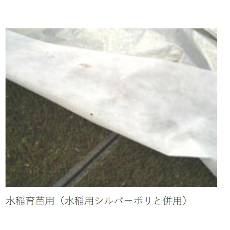 NEWアイホッカ #40 180cm×100m ダイヤテックス 保温・厚手不織布 トンネル栽培 防虫・防鳥 岩谷マテリアル イワタニ タS 個人宅配送不可 北海道不可 代引不可 |  | 01