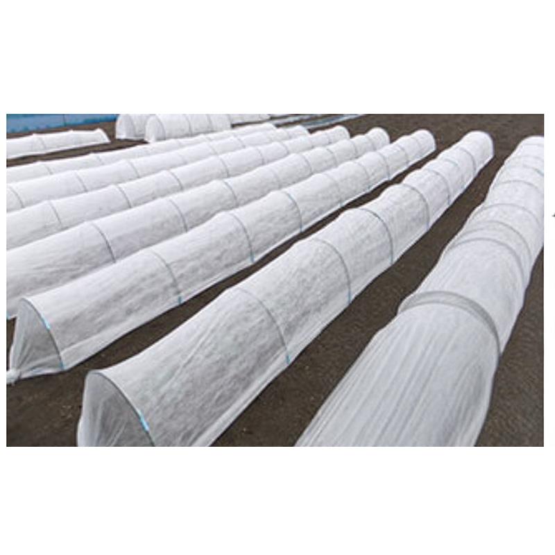 SUPERアイホッカ #20 180cm×200m ダイヤテックス 保温効果 PP/PE 高品質不織布 防虫 防鳥 岩谷マテリアル イワタニ タS 個人宅配送不可 北海道不可 代引不可 |  | 01