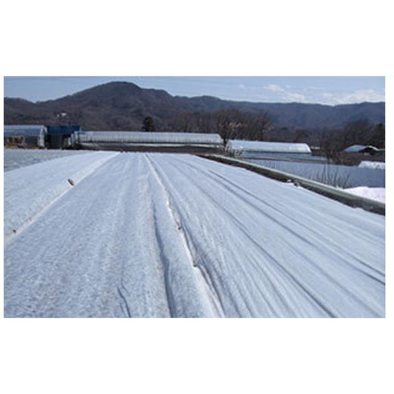 SUPERアイホッカ #20 240cm×200m ダイヤテックス 保温効果 PP/PE 高品質不織布 防虫 防鳥 岩谷マテリアル イワタニ タS 個人宅配送不可 北海道不可 代引不可 |  | 02