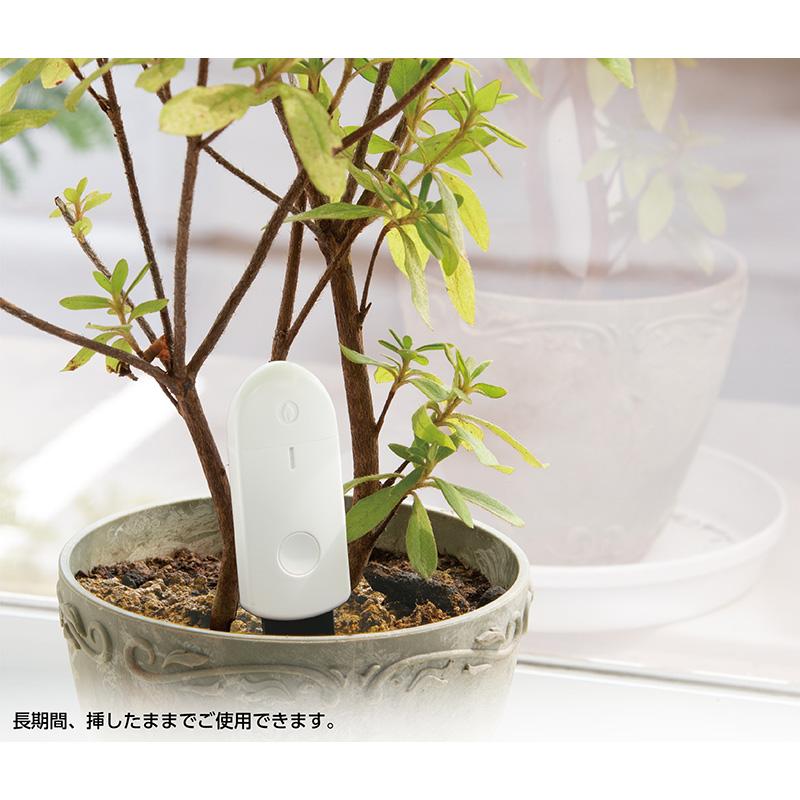 M LED三色表示 土壌水分チェッカー 79019 25×11×160mm 16ｇ LED 植物 観葉植物 家庭菜園 ガーデニング 土壌管理 水やり シンワ測定 H |  | 01