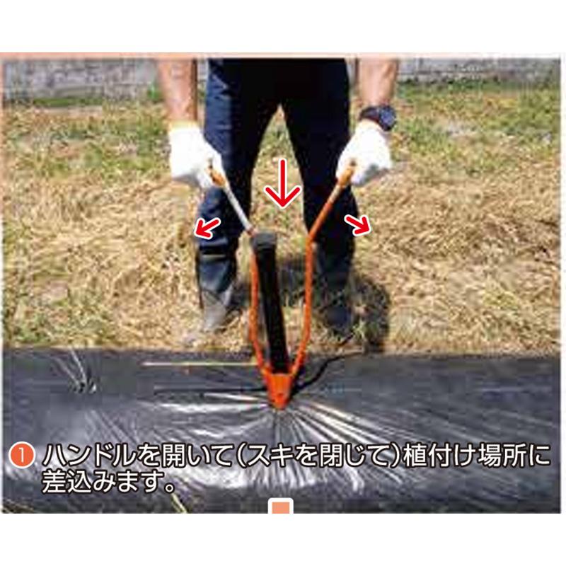 ホーラー H45P 4.5cm 開閉式 小型植穴あけ器 マルチ穴あけ 穴あけ 植付け セル苗 定植 家庭菜園 玉ねぎ苗 小径苗用 ガーデニング サンエー  H-45P 代引不可 |  | 01