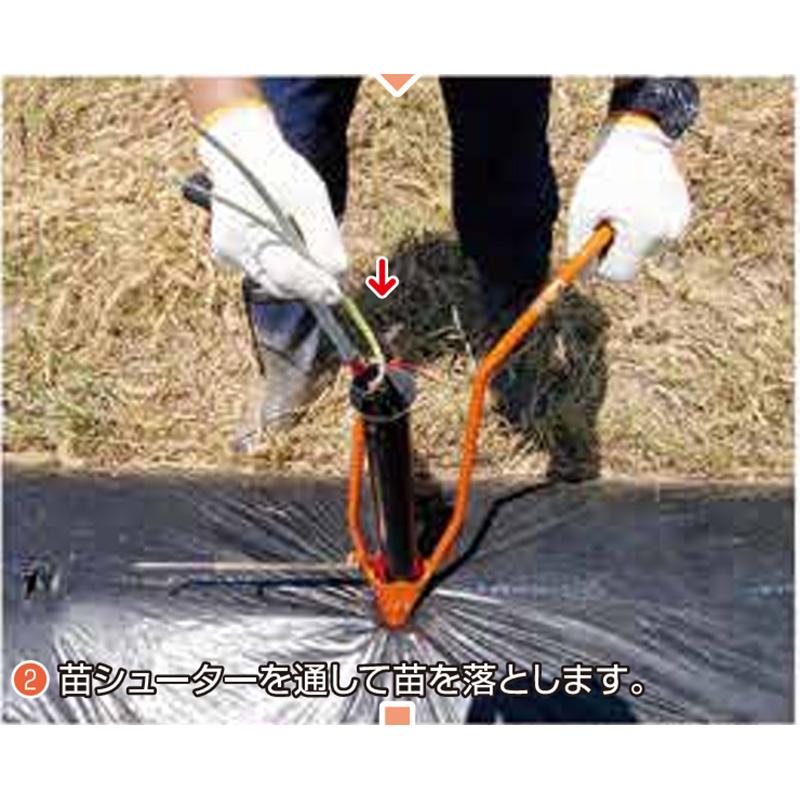 ホーラー H45P 4.5cm 開閉式 小型植穴あけ器 マルチ穴あけ 穴あけ 植付け セル苗 定植 家庭菜園 玉ねぎ苗 小径苗用 ガーデニング サンエー  H-45P 代引不可 |  | 02