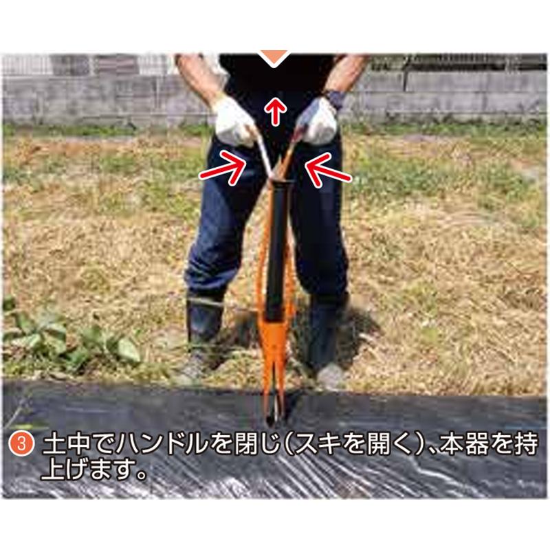 ホーラー H45P 4.5cm 開閉式 小型植穴あけ器 マルチ穴あけ 穴あけ 植付け セル苗 定植 家庭菜園 玉ねぎ苗 小径苗用 ガーデニング サンエー H-45P 代引不可 |  | 03