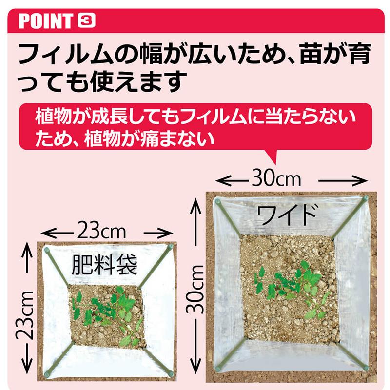 daim 野菜苗ガードセット ワイド 5セット入 W50cm×D30×H40cm 野菜 菜園保温 苗 育苗 ガーデニング ビニールシート 園芸 家庭菜園 育成促進 第一ビニール 金T D |  | 03