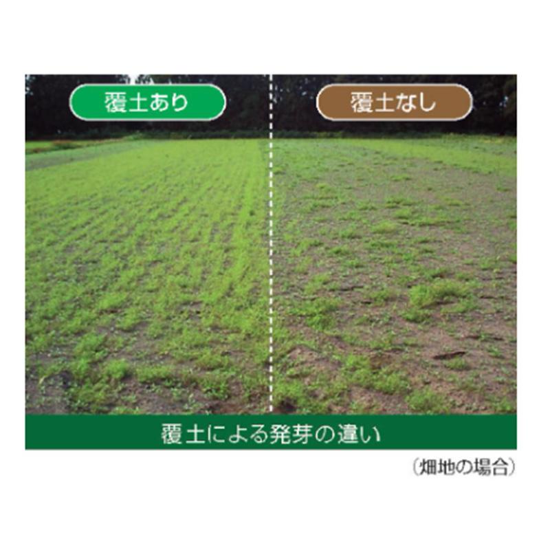 種 1kg 雪次郎 ハングビローサ ヘアリーベッチ 晩生 緑肥 ミツバチの蜜源に 雪印種苗 植物 米S 代引不可 |  | 03
