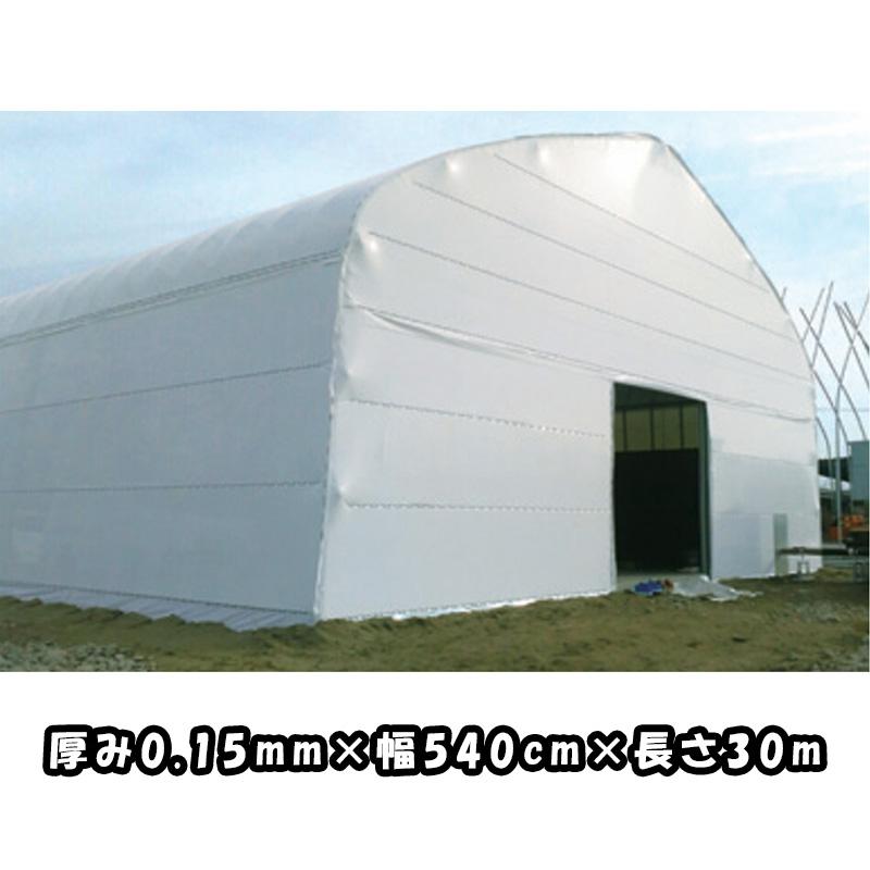 タフシェード 真白 厚み0.15mm 幅540cm 長さ30m 住化積水フィルム 農業用 まっしろ 両面 ホワイト 流滴性 塗布型農POフィルム 倉庫 サT 個人宅配送不可 代引不可 | 住化積水フィルム | 01
