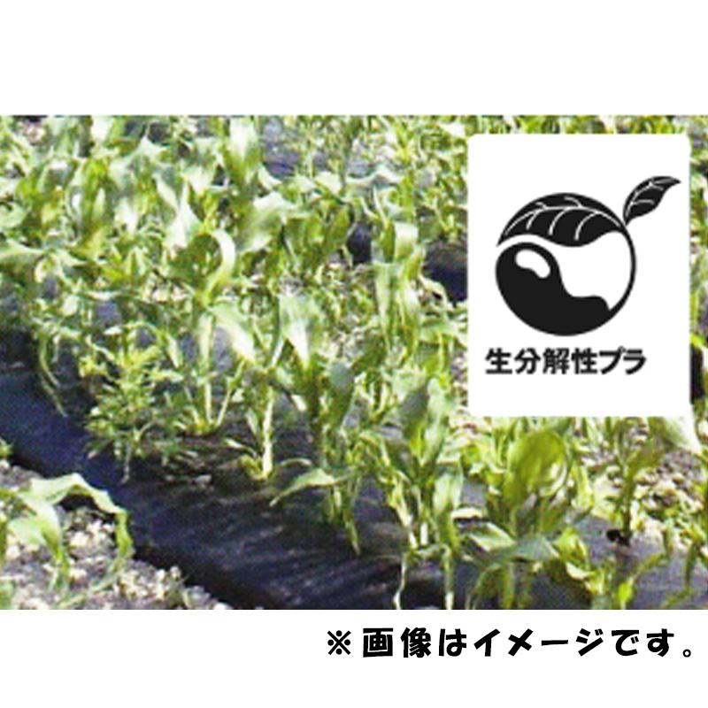2本 生分解性マルチフィルム カエルーチ 透明 無孔 0.018mm×95cm×200m 生分解性 マルチ MKVアドバンス カ施 受注生産品 個人宅配送不可 代引不可 |  | 02