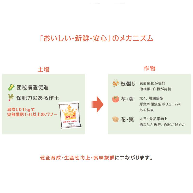 20袋 息吹農法グレードLD 1kg 透水性 保水性 収量 向上 保肥力up 土壌水分 活性化 土づくり 根張り抜群 天然ピートモス 微粉末100% 汎陽科学 タS 代引不可 |  | 01