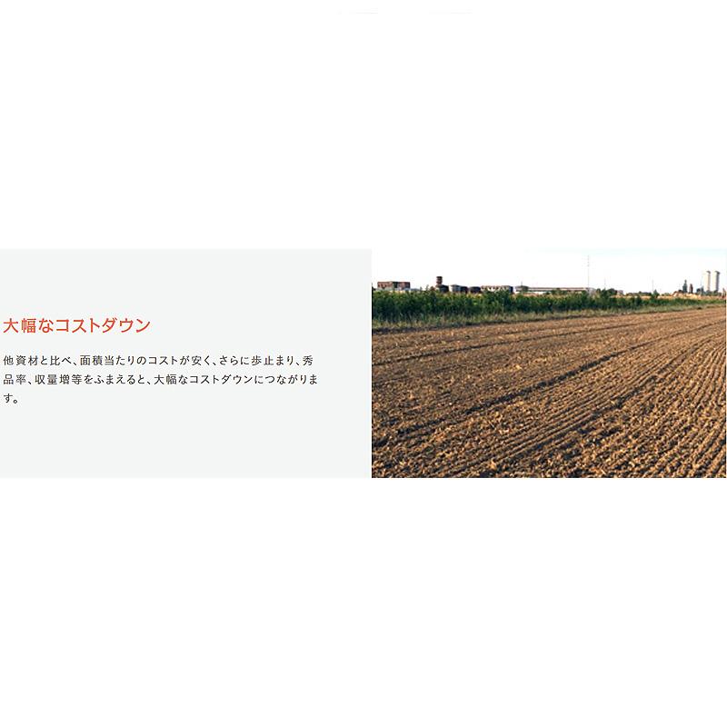 1kg 息吹農法グレードLD 透水性 保水性 収量 向上 保肥力up 土壌水分 活性化 扱いやすい 土づくり 根張り抜群 天然ピートモス 微粉末100% 汎陽化学 タS 代引不可 |  | 05