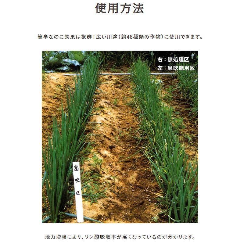 1kg 息吹農法グレードLD 透水性 保水性 収量 向上 保肥力up 土壌水分 活性化 扱いやすい 土づくり 根張り抜群 天然ピートモス 微粉末100% 汎陽化学 タS 代引不可 |  | 06