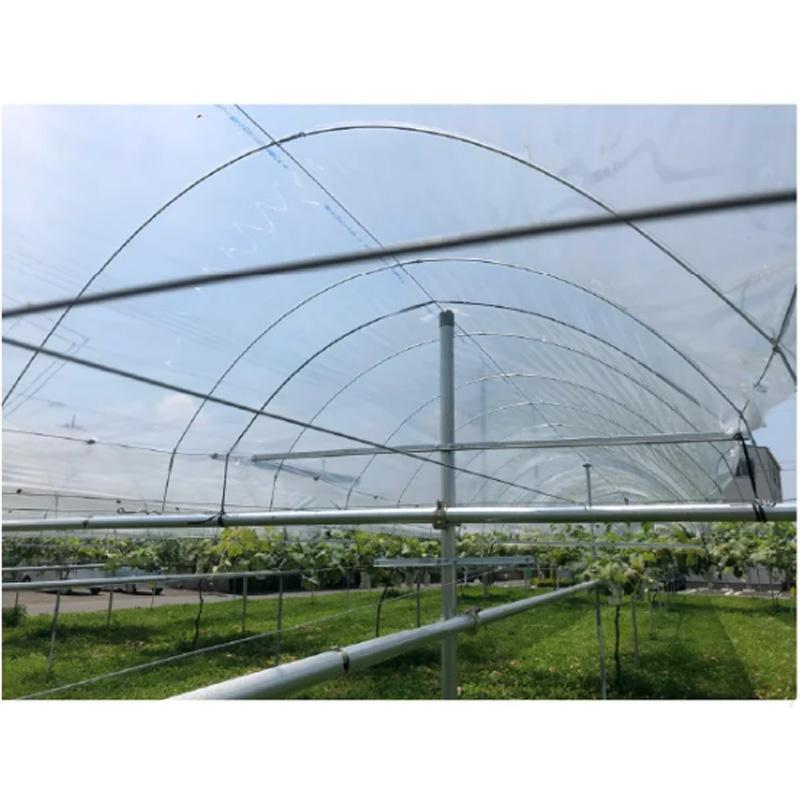 50本 ワンタッチトンネル支柱 20型 線径4.5mm 有効長2700mm トンネル間口2000mm トンネル高さ800mm 日亜鋼業 NST 福山通運営業所止め限定 北海道不可 代引不可 |  | 04