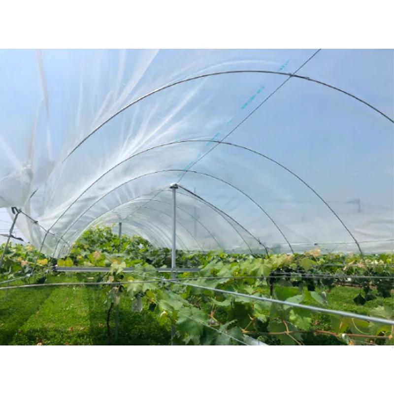 50本 サンクロスクリップ 針金 ワイヤー固定 仮止め 整理 等 果樹棚 ビニール トンネル ハウス ワイヤークリップ DIY 園芸 日亜鋼業 NST 北海道不可 代引不可 | 日亜鋼業 | 03