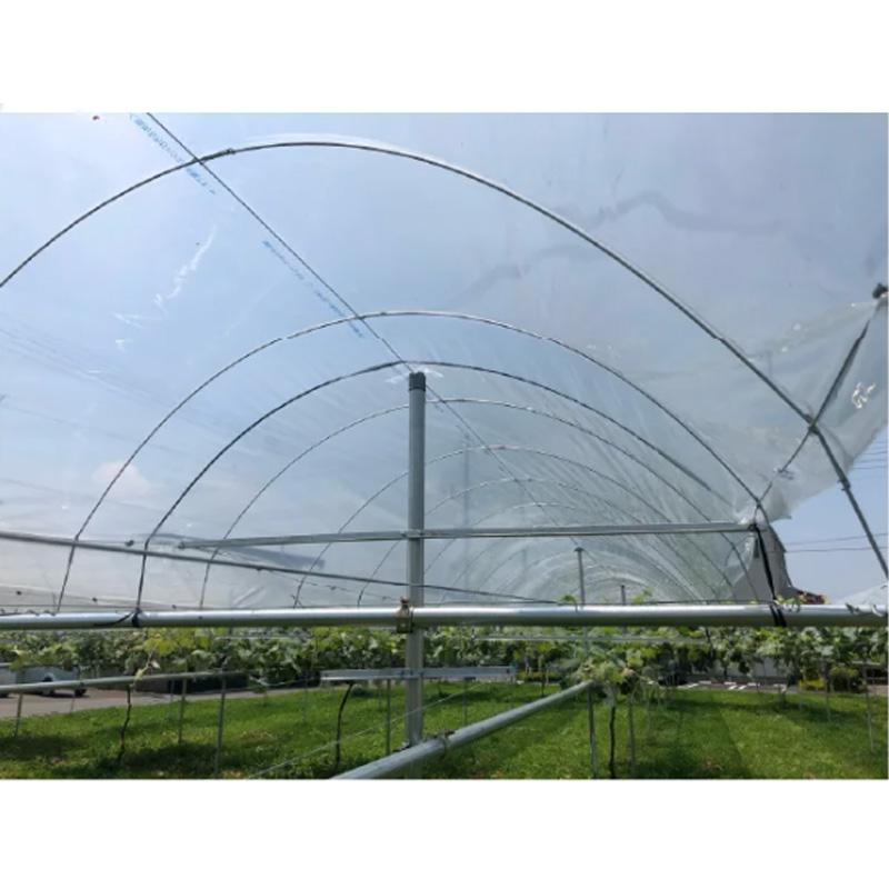 200本 SPクリップ 直径3.0mm クリップ ワイヤー固定 仮止め 整理 等 果樹棚 ビニール トンネル ハウス DIY 園芸 日亜鋼業 NST 北海道不可 代引不可 |  | 03