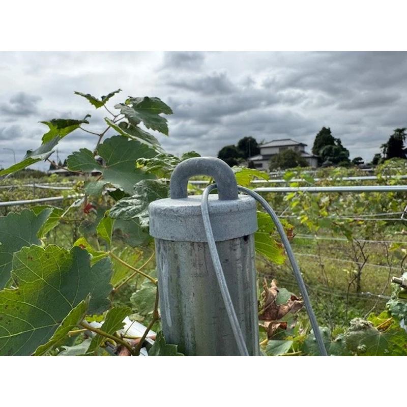 10本 単管端柱キャップ 48.6mm単管に 配線 ワイヤー張り 天井線 アンカー線 2本同時設置可能 ワンタッチ 取付簡単 日亜鋼業 NST 北海道不可 代引不可 |  | 01