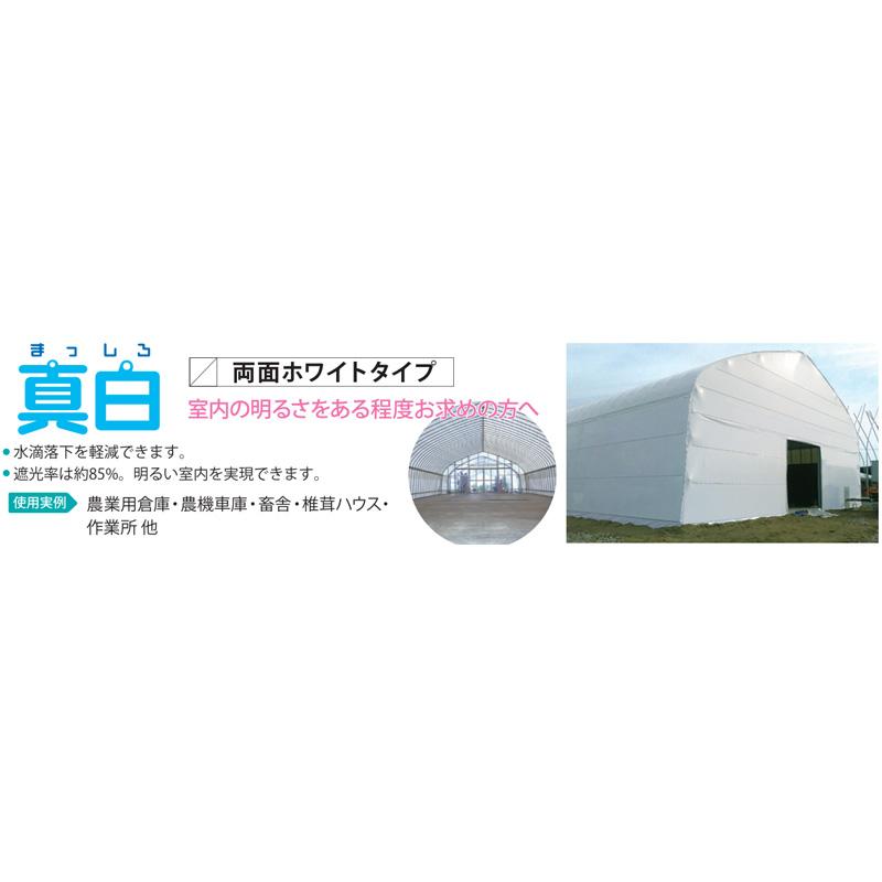 タフシェード 真白 厚み0.15mm 幅540cm 長さ25m 住化積水フィルム 農業用 まっしろ 両面 ホワイト 流滴性 塗布型農POフィルム 倉庫 サT 個人宅配送不可 代引不可 | 住化積水フィルム | 02