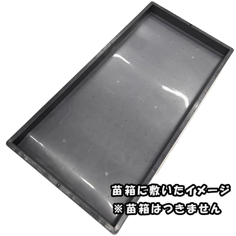10000枚 苗シート 275×575mm ねはり 水稲 苗 育苗 田植え 健苗 播種 下敷紙 敷紙 育苗箱 苗箱 紙 シート 稲苗 稲作 ミツワ 共B 代引不可 |  | 02