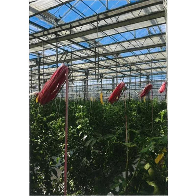 誘引フック 番線用 1000個 全長18cm 栽培 誘引 トマト 育苗 農業 園芸 作物 畑 ガーデニング アイセー 愛星特発大阪 タS 代引不可 |  | 03