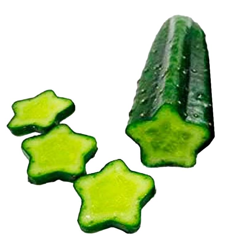 40個 デコきゅう 星 キュウリの型どりケース きゅうりの形 家庭菜園 星型 カネコ種苗 DZ |  | 02