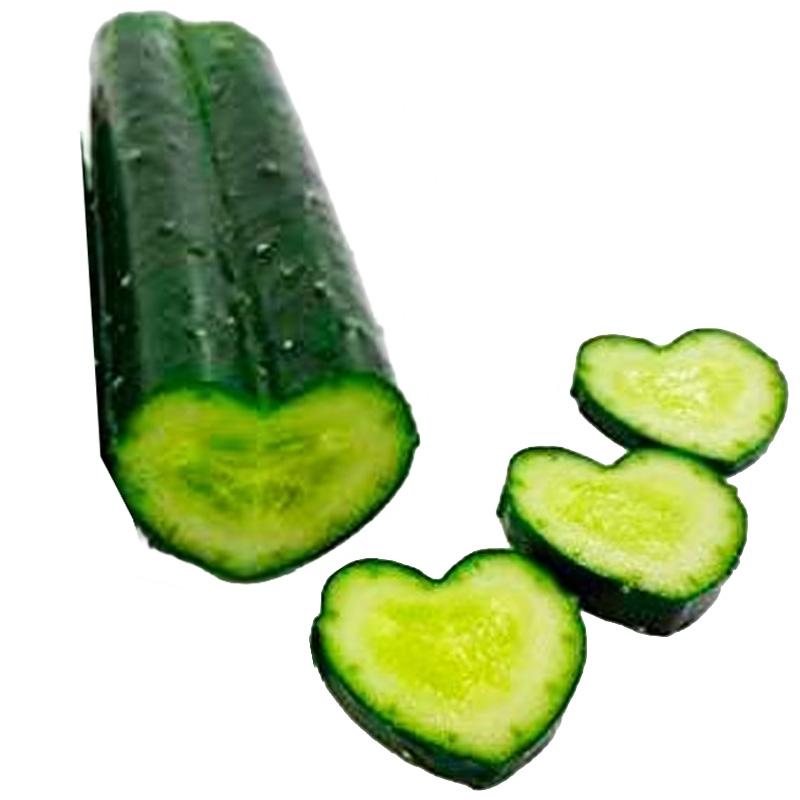 40個 デコきゅう ハート キュウリの型どりケース きゅうりの形 家庭菜園 ハート型 カネコ種苗 DZ |  | 02