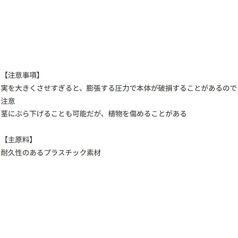 40個 デコきゅう ハート キュウリの型どりケース きゅうりの形 家庭菜園 ハート型 カネコ種苗 DZ |  | 04