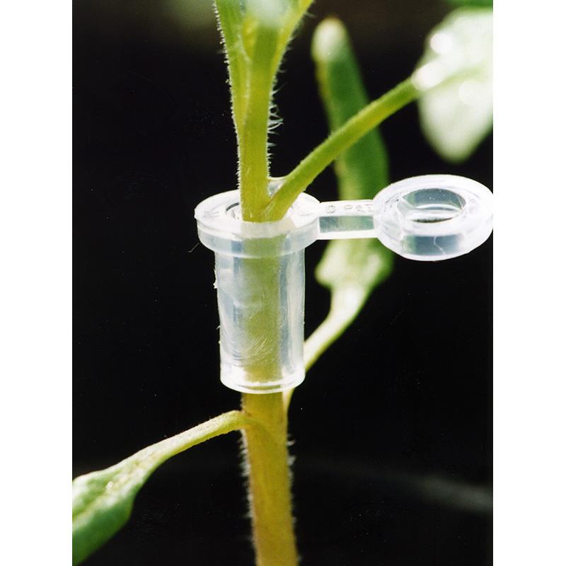 スーパーウィズ 14号 1000個 接ぎ木用ホルダー ナスニックス サT DZ |  | 02