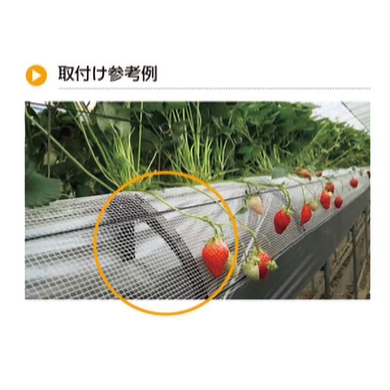 イチゴの茎折れ防止 クキサポートアーム 土挿込みタイプ CP-656-T TAKIGEN タキゲン いちご イチゴ 苺 茎 農業 園芸 作物 畑 ガーデニング サT 代引不可 |  | 04