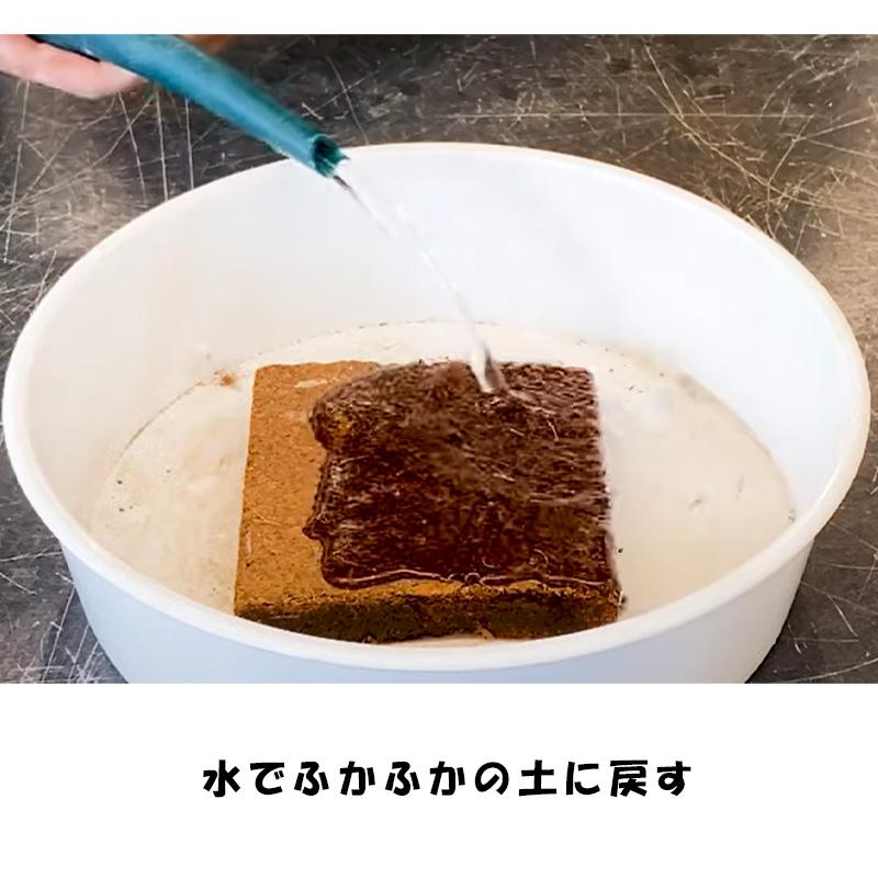 30個 土ブロック 5リットル 肥料入り 培養土 家庭菜園 ハーブ 野菜 花 栽培 土 おすすめ プロトリーフ カ園 代引不可 個人宅不可 |  | 03