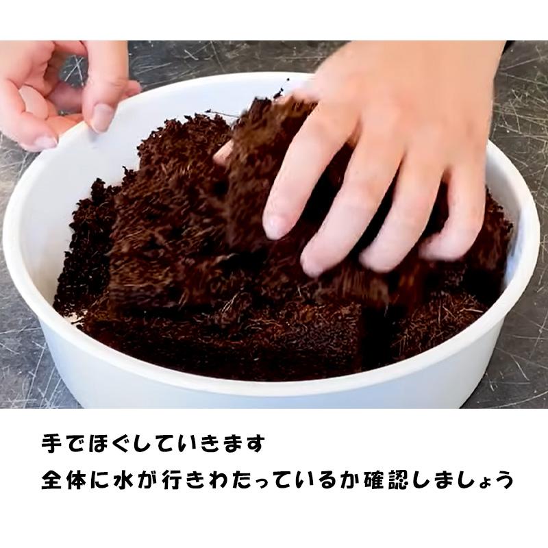 30個 土ブロック 5リットル 肥料入り 培養土 家庭菜園 ハーブ 野菜 花 栽培 土 おすすめ プロトリーフ カ園 代引不可 個人宅不可 |  | 05