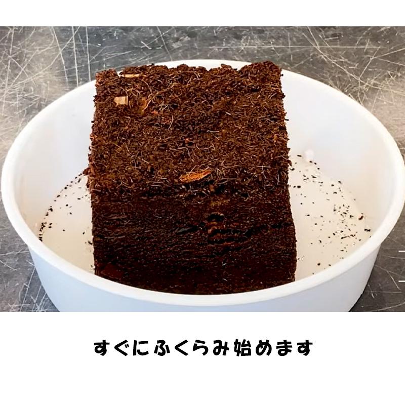 144個 土ブロック 8リットル 肥料入り 培養土 家庭菜園 ハーブ 野菜 花 栽培 土 おすすめ プロトリーフ カ園 代引不可 個人宅不可 |  | 04