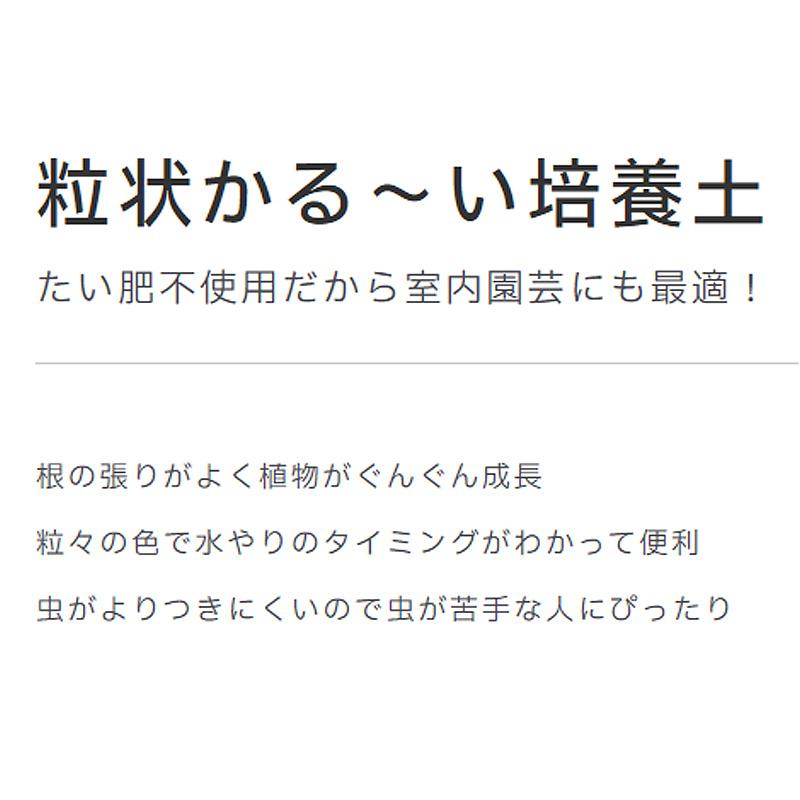 30袋 粒状かる〜い培養土 12L たい肥不使用 花 野菜 植物 用土 園芸 土 庭 ベランダ 室内 ガーデニング プロトリーフ PROTOLEAF カ園 代引不可 個人宅配送不可 |  | 01