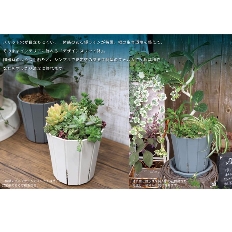 20個 スリットオアシス 10号 ダークグレー φ300×H304mm 14L 鉢 観葉植物 インテリア おしゃれ シンプル 寸胴型 アップルウェアー タS D |  | 02