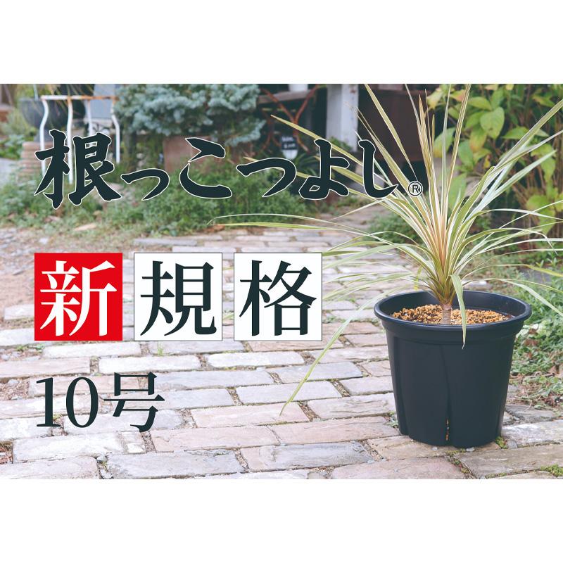 36個 根っこつよし10号 ブラック φ300×H250mm 9L 鉢 黒 多肉 観葉 宿根草 1年草 植物 根腐れ軽減 シンプル 寸胴型 アップルウェアー タS D |  | 05