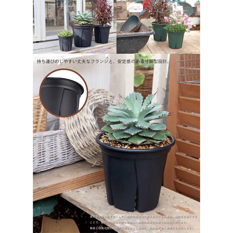 36個 根っこつよし10号 ブラック φ300×H250mm 9L 鉢 黒 多肉 観葉 宿根草 1年草 植物 根腐れ軽減 シンプル 寸胴型 アップルウェアー タS 個人宅配送不可 D |  | 07