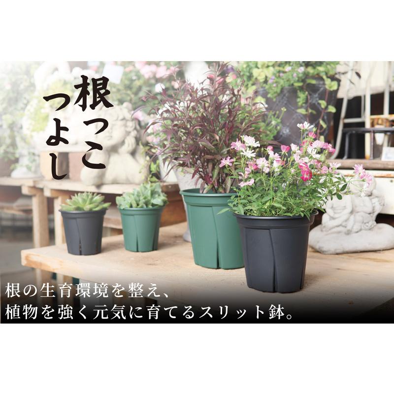 24個 根っこつよし12号 グリーン φ360×H300mm 16L 鉢 緑 多肉 観葉 宿根草 1年草 植物 根腐れ軽減 シンプル 寸胴型 アップルウェアー タS D |  | 05