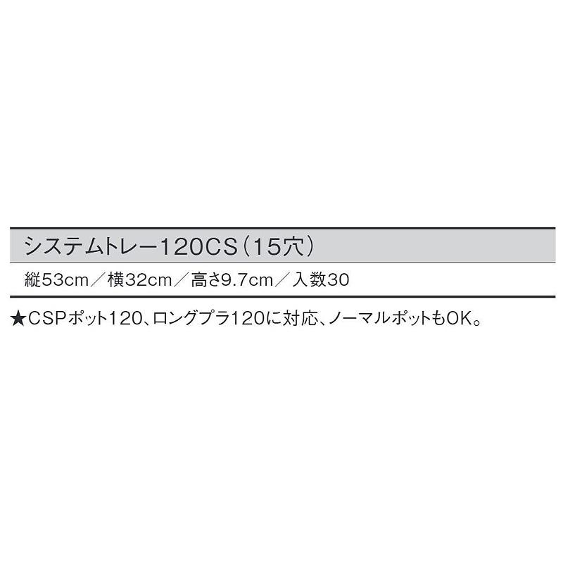 30個 システムトレー 120CS 黒 15穴 W53×D32×H9.7cm CSPポット120 ロングプラ120 ノーマルポット対応 日本ポリ鉢販売 タS D |  | 01