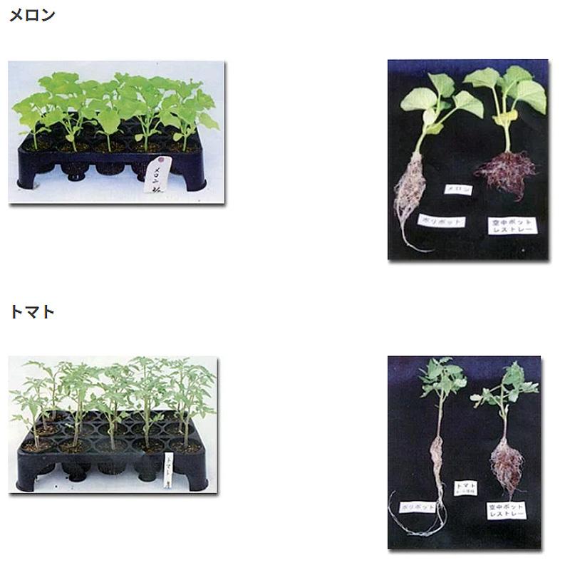 受注生産品 20枚 空中ポットレストレー 白色 6.3cm 28穴 脚無 W50.6×D31.4×H6.2cm 培土入器 阪中緑化資材 タS 代引不可 |  | 10